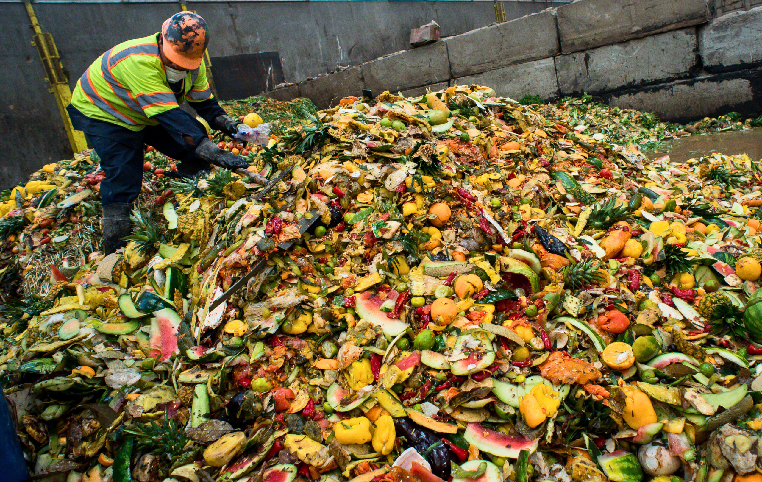 worms can recycle your garbage