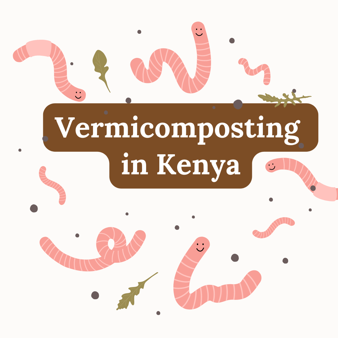 Vermicomposting process in Kenya