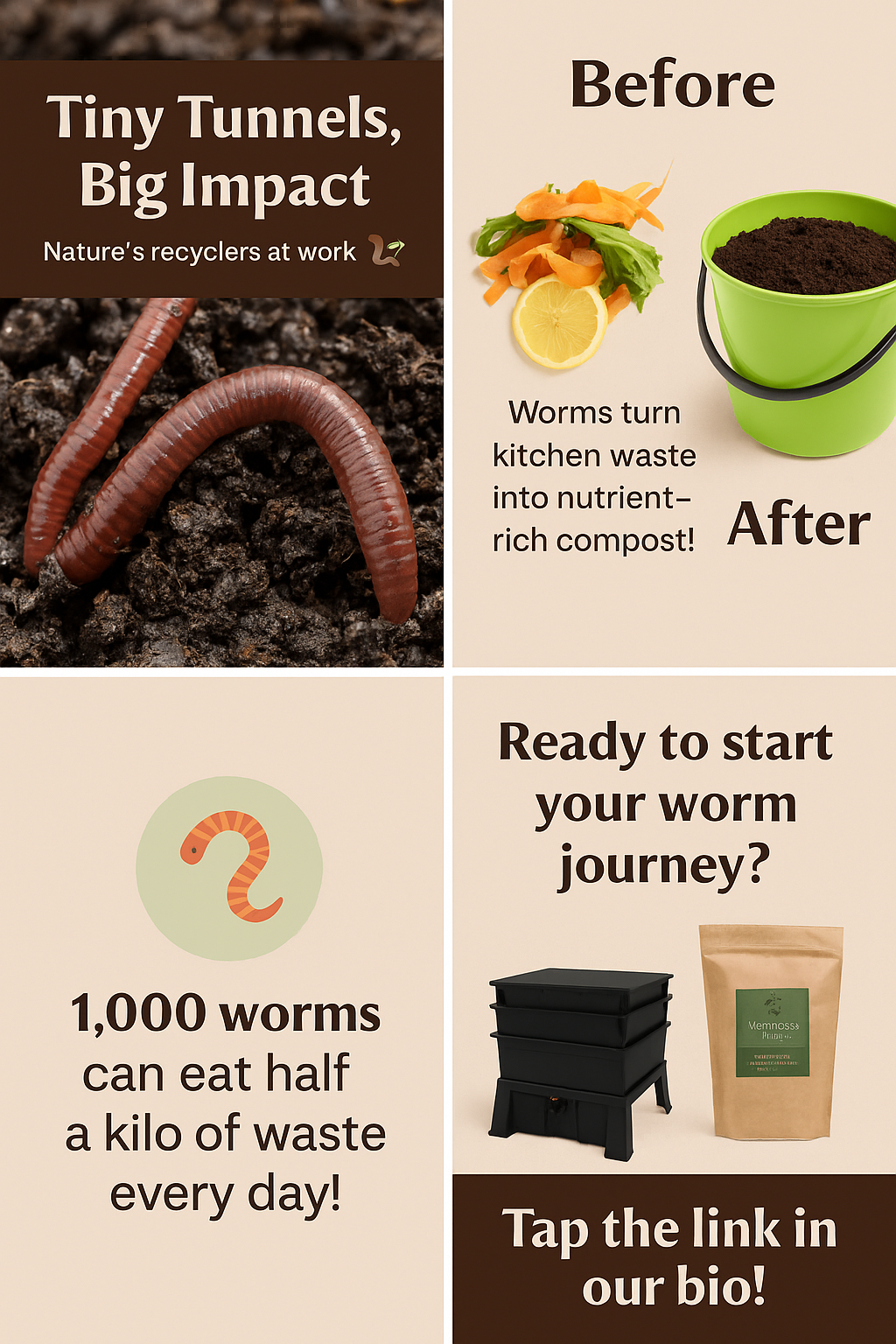 How worms turn waste into compost
